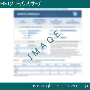 グローバルリサーチ調査レポートのイメージ